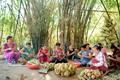 为高棉族同胞实现脱贫减贫注入动力 