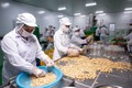 越南与波兰在农产品与食品贸易领域中的合作潜力巨大