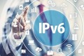 越南IPv6利用率排名全球第8位