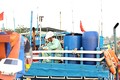 茶荣省超过200艘渔船安装远程监控设备
