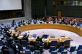  越南与联合国安理会：国际社会需积极促进叙利亚各方的谈判