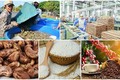 越南加大主要农产品出口力度