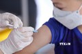 外交部例行记者会：加快推进儿童新冠疫苗供应和援助工作