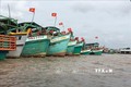 解除IUU“黄牌”警告：越南金瓯省完成渔船巡航监控设备安装工作