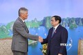 范明政总理：越南高度重视推进与法国在医疗领域的合作