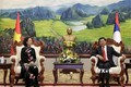 越共中央组部部长张氏梅对老挝进行工作访问