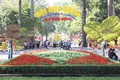 胡志明市辛丑春节花卉节将延长12天