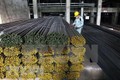 马来西亚对进口自越南的钢材采取反倾销措施