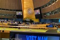 越南与联合国安理会：凸显越南在联合国安理会的作用和地位