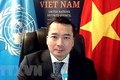 越南与联合国安理会：通过有关利比亚局势的两份决议并就防止大规模杀伤性武器进行讨论