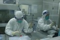 越南新冠肺炎死亡病例增至43例