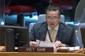 越南与联合国安理会：越南对非洲大湖区的局势表示担忧