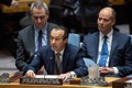 越南与联合国安理会：越南鼓励黎巴嫩新政府以改革渡过当前危机