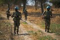 越南与联合国安理会：越南呼吁苏丹和南苏丹为解决阿卜耶伊争端作出更多努力