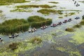 Ngăn chặn đà suy giảm đa dạng sinh học ở Việt Nam (Bài 2)