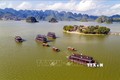 Du thuyền đưa khách tham quan hồ Tam Chúc rộng hơn 600 ha với nhiều cảnh đẹp tự nhiên. Ảnh: Đại Nghĩa - TTXVN