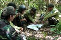 Đội tuần tra liên ngành Bảo vệ rừng, Phòng cháy chữa cháy rừng quận Sơn Trà xác định khu vực thường xuyên có bẫy thú. Ảnh: Quốc Dũng - TTXVN
