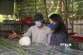Anh Nguyễn Tấn Hưng trao đổi với người dân tới học hỏi kỹ thuật nuôi thỏ. Ảnh: Hoàng Nhị - TTXVN