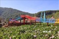 Công trình Vườn Thượng Uyển Bay trên khu đất thuộc diện quy hoạch đất rừng phòng hộ của thành phố Đà Lạt (Lâm Đồng). Ảnh: TTXVN