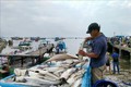 Ngư dân Khánh Hòa thu hoạch và tiêu thụ cá nhanh để tránh bão số 13