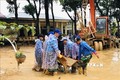 Lực lượng đoàn viên thanh niên giúp các trường học ở xã Hướng Việt khắc phục hậu quả lũ lụt. Ảnh: Hồ Cầu-TTXVN