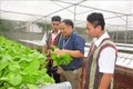 Dạy học sinh biết yêu lao động qua mô hình "Vườn rau trường học" ở Bù Gia Mập