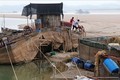 Nước cạn, nghề nuôi cá lồng trên sông Đà gặp khó
