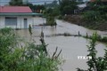 Mưa lớn gây ngập nhiều diện tích cây trồng, nhà cửa tại huyện Krông Bông, tỉnh Đắk Lắk. Ảnh: Anh Dũng - TTXVN