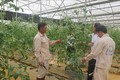 Hiệu quả từ công tác đào tạo nghề cho lao động nông thôn ở Lai Châu