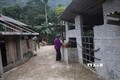 Bà con ở xã Cô Ngân (Hạ Lang, Cao Bằng) chủ động dự trữ thức ăn cho đàn trâu. Ảnh: Chu Hiệu - TTXVN