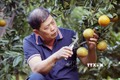 Ông Cầm Duy Vinh cải tạo vườn tạp để trồng cây ăn quả có hiệu quả kinh tế cao