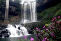 Ngỡ ngàng trước vẻ đẹp hoang sơ của thác Đambri