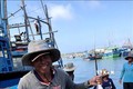 Ngư dân Quảng Ngãi trúng đậm cá cờ đầu năm mới