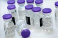 Vaccine của Pfizer/BioNTech hiệu quả trong phòng ngừa biến thể của SARS-CoV-2 tại Brazil 