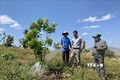 Chuyên canh cây ăn quả trên vùng trọng điểm hồ tiêu Chư Pưh