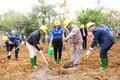 Công ty Điện lực Lai Châu phát động Tết trồng cây