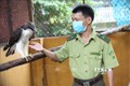 Tây Ninh cứu hộ nhiều cá thể chim quý, hiếm