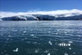 Nam Cực ghi nhận mức nhiệt cao kỷ lục