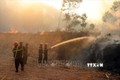 Thừa Thiên Huế cảnh giác với nguy cơ cháy rừng diện rộng