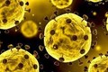 Nghiên cứu hiệu quả của tia laser đối với virus SARS-CoV-2