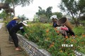 Nhiều cách làm sáng tạo của phụ nữ vùng cao Lai Châu trong xây dựng nông thôn mới