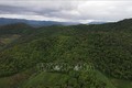Huyện Sốp Cộp là địa phương có tỷ lệ che phủ rừng cao ở tỉnh Sơn La với hơn 48%. Ảnh: Hữu Quyết - TTXVN