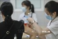 Nhân viên y tế tiêm vaccine Nano Covax phòng COVID-19 cho tình nguyện viên tham gia tiêm thử nghiệm đợt 3 tại Học viện Quân y. Ảnh: Minh Quyết - TTXVN