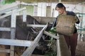 Phụ nữ vùng biên Lai Châu giúp nhau phát triển kinh tế