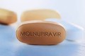 Thành phố Hồ Chí Minh đưa thuốc kháng virus Molnupiravir vào điều trị F0 triệu chứng nhẹ