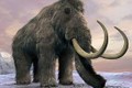 Tham vọng hồi sinh voi ma mút lông xoăn đã tuyệt chủng
