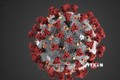 Giới khoa học Thụy Sĩ phát hiện siêu kháng thể chống virus gây bệnh COVID-19