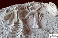 Phát hiện hóa thạch khủng long con quý hiếm tại Khu tự trị Nội Mông, Trung Quốc