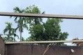 Quảng Ngãi: Lốc xoáy làm tốc mái hàng chục nhà dân