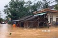 Chủ động các biện pháp ứng phó thiệt hại mưa, lũ tại miền Trung